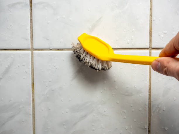 Best Office Mold Removal Services  in Flat Rock, MI
