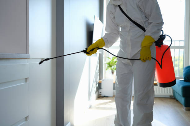 Water Damage Restoration in Flat Rock, MI