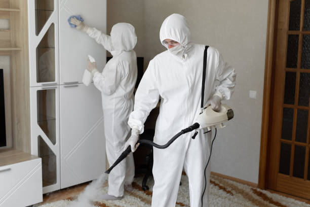 Certified Mold Removal in Flat Rock, MI