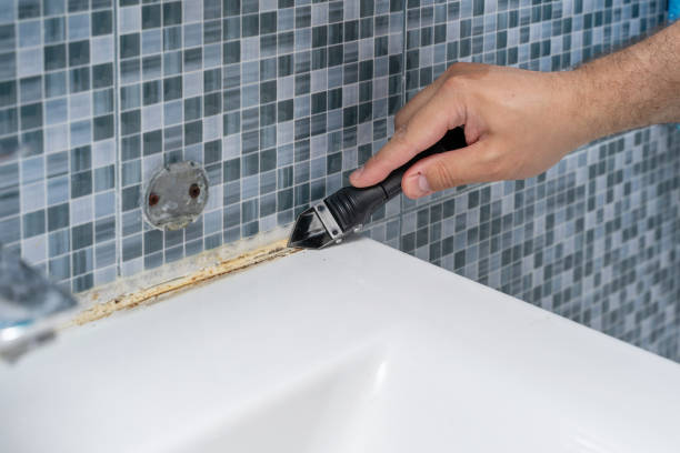 Best Certified Mold Removal  in Flat Rock, MI