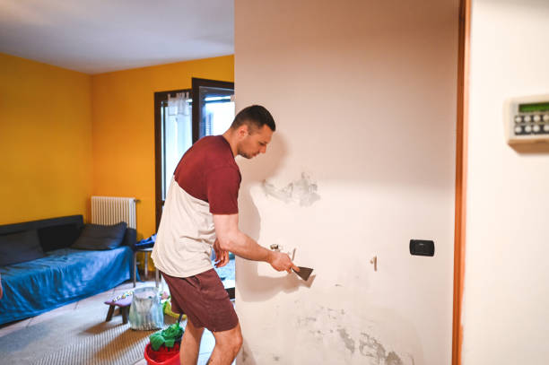 Best Fast Mold Removal  in Flat Rock, MI
